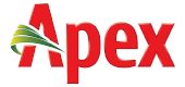APEX logo